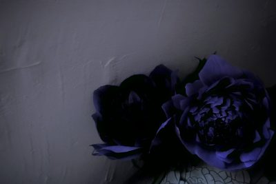 八重のアネモネ,anemone,Bouquet