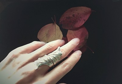 autumn,photo,hand
