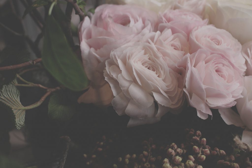 flower,Ranunculus