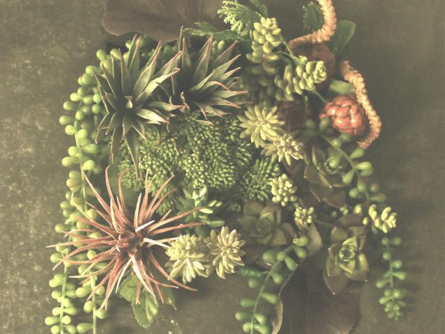 art-succulent-design-2015