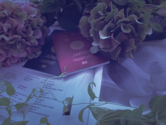 Bruxelles,flower,passport、紫陽花