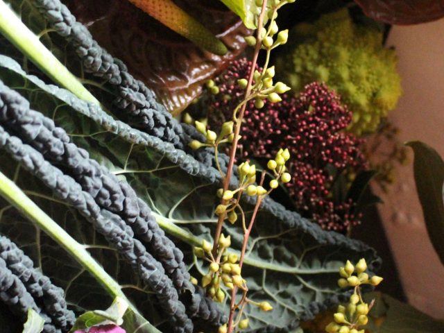 五感,vegetable,flower