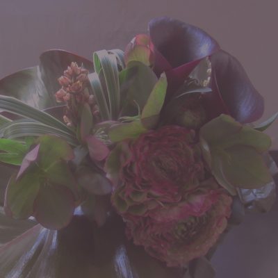 Ranunculus,bouquet